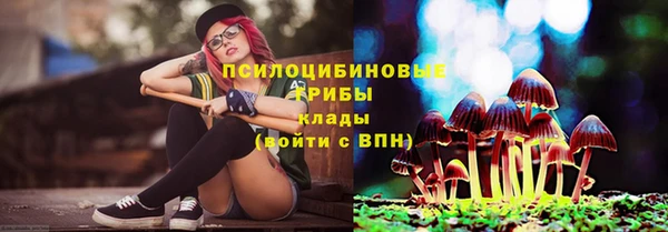 соль ск Абаза