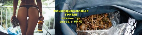 соль ск Абаза